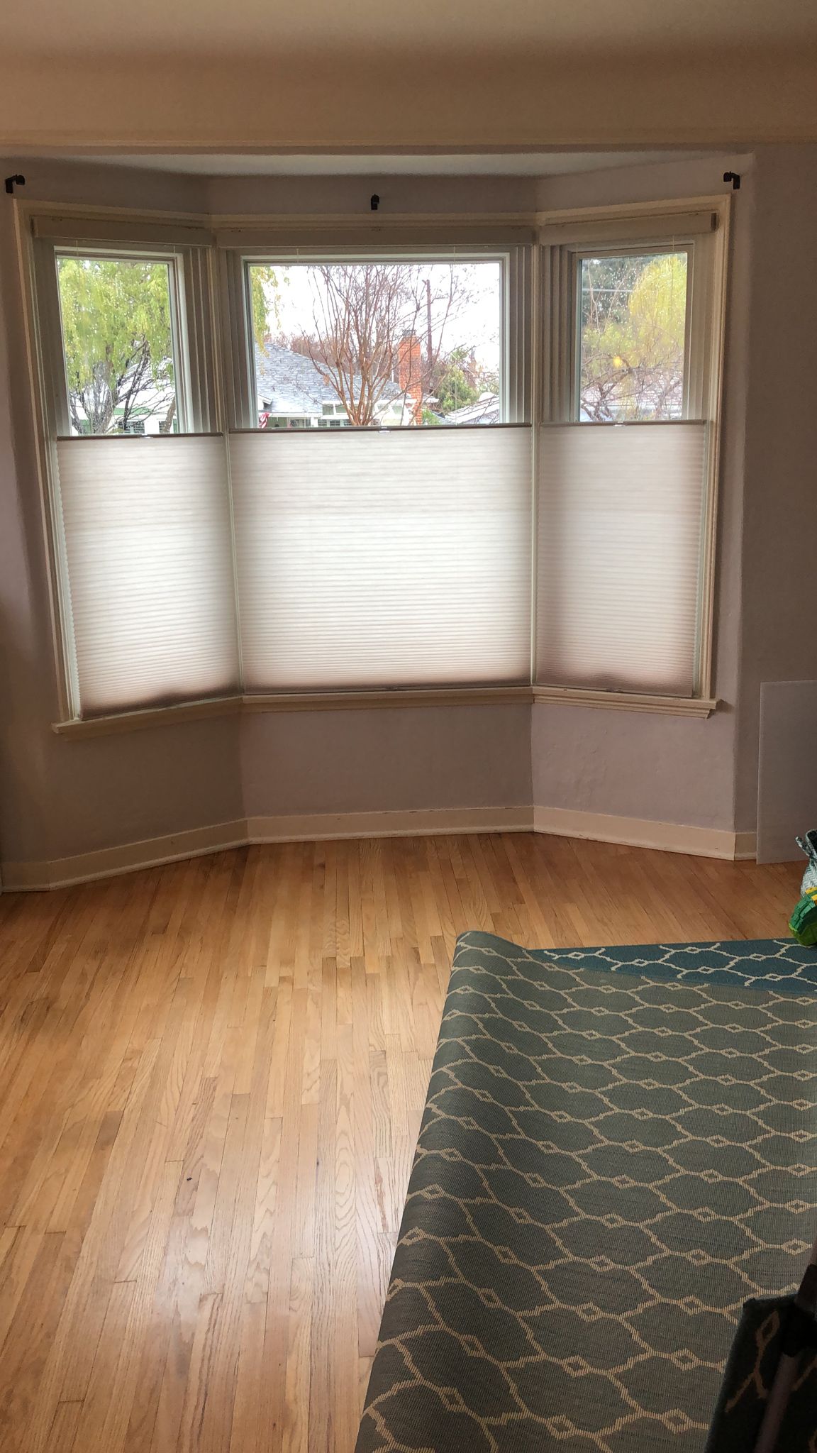 Our dual top-down/bottom-up cellular shades offer maximum versatility, making them a popular option for privacy and lighting control. Cellular Shades are designed to conserve energy with their honeycomb design.