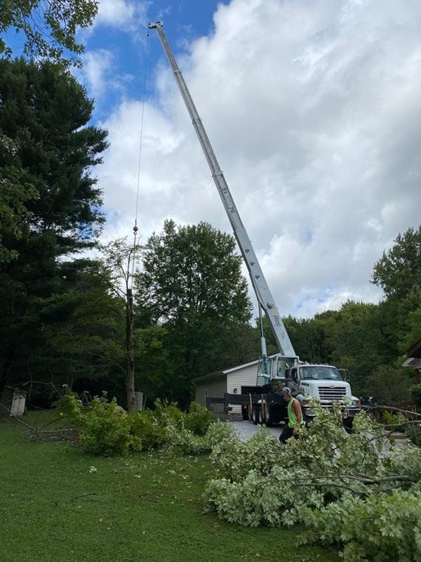 Images Todd's Tree Service