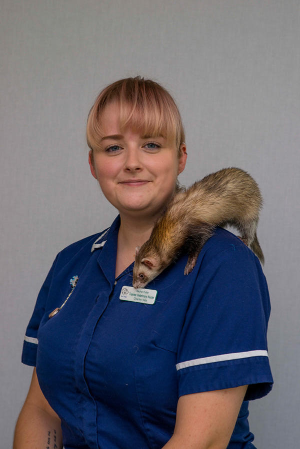Images Chantry Vets Castleford Veterinary Centre