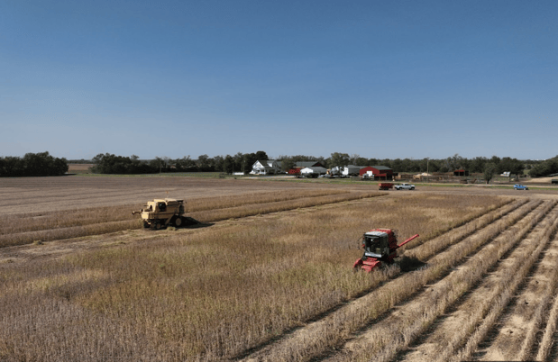 Images Southwest Seed Research LLC