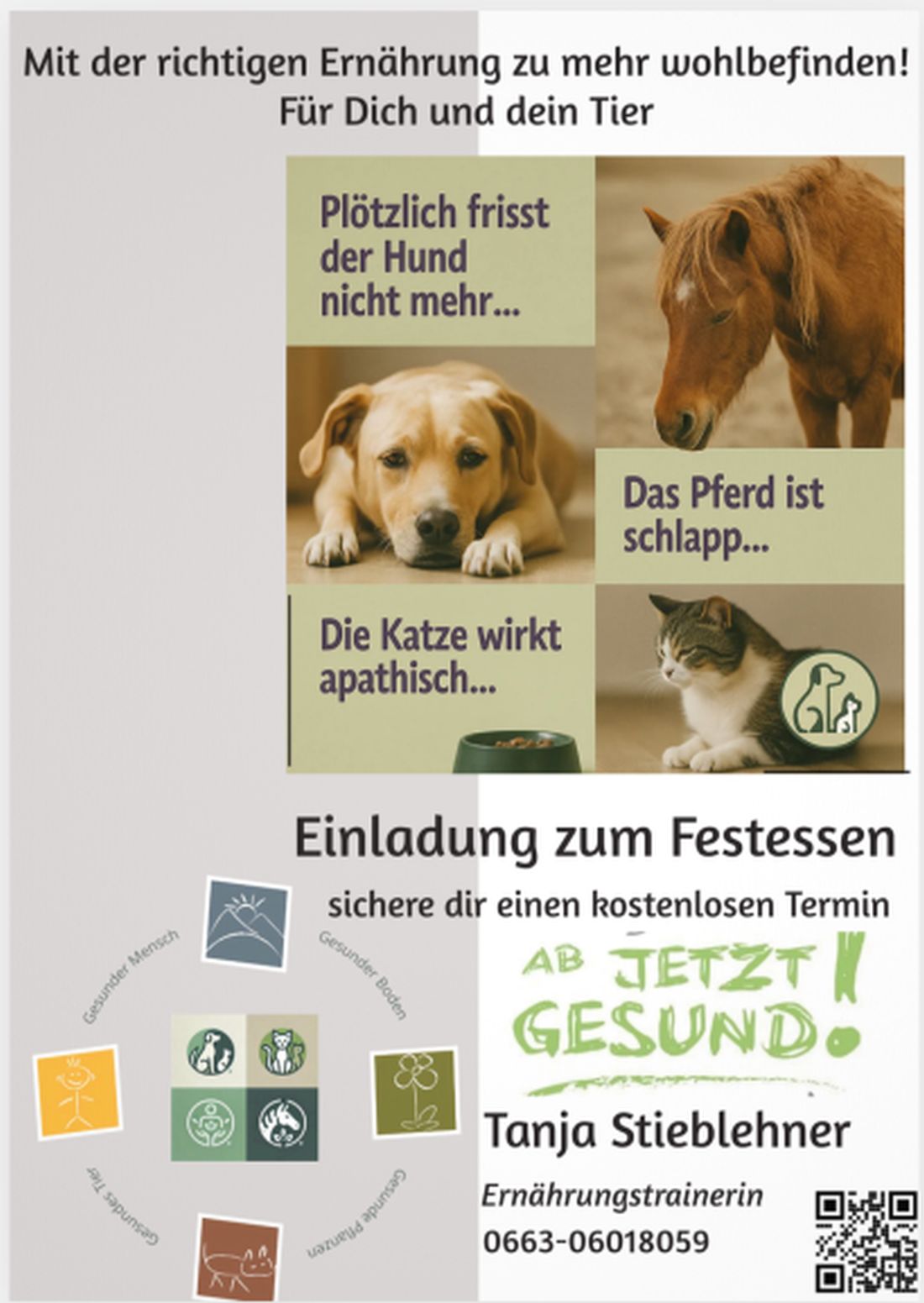 Bild 7 von Tanja Stieblehner - Ernährungstrainerin REICO VITAL - Spezialist für Hund, Katze und Mensch
