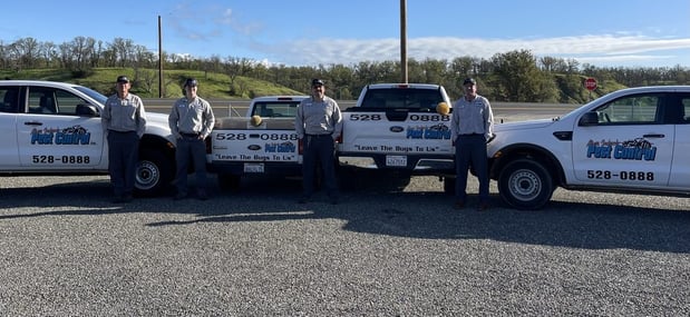 Images Matt Jackson'S Pest Control