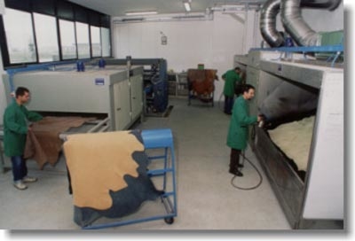 Images Dermacolor