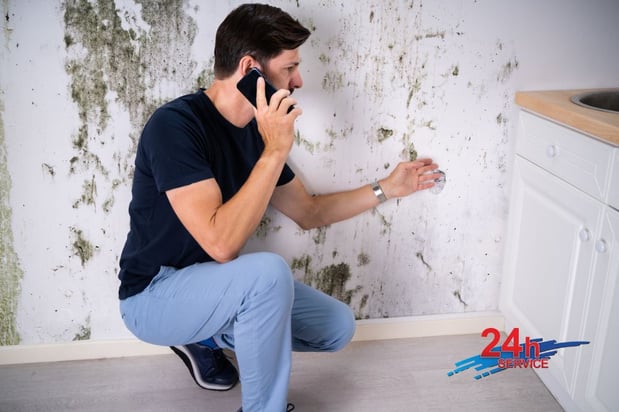 Images First Response Restoration, Water Damage Minneapolis Specialist