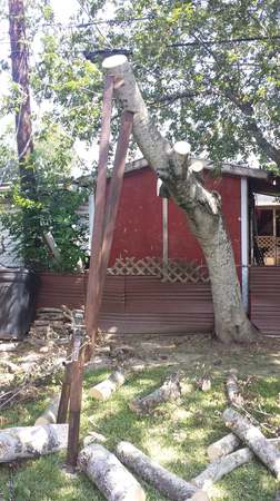 Images TNT Tree Service