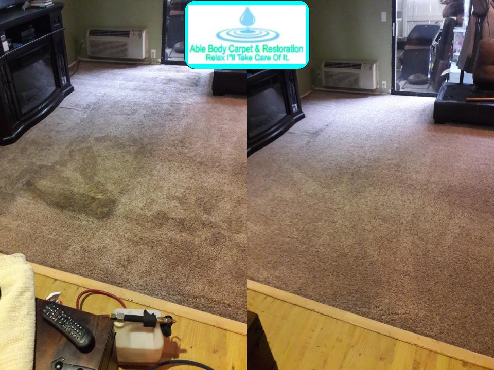 Able Body Carpet & Restoration Photo