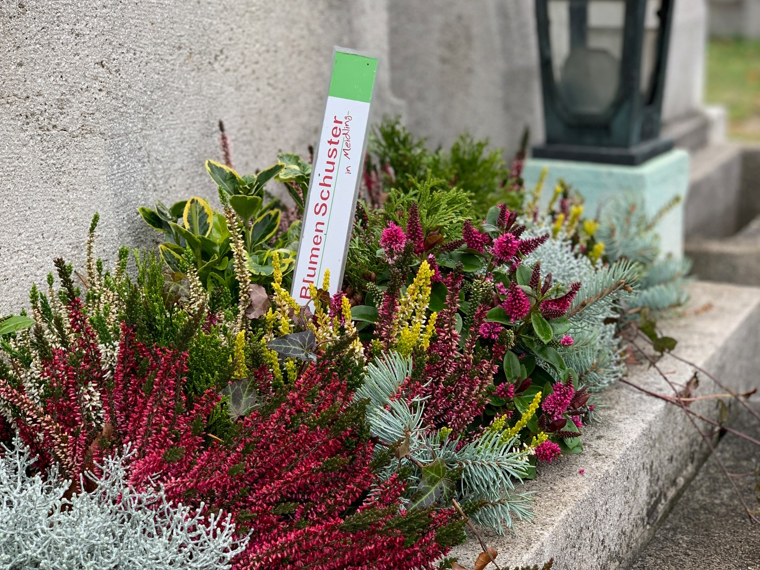 Bild 3 von Blumen Schuster in Meidling - Christine Schuster