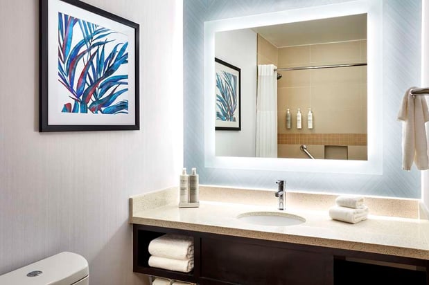 Images Hilton Garden Inn Valencia Six Flags