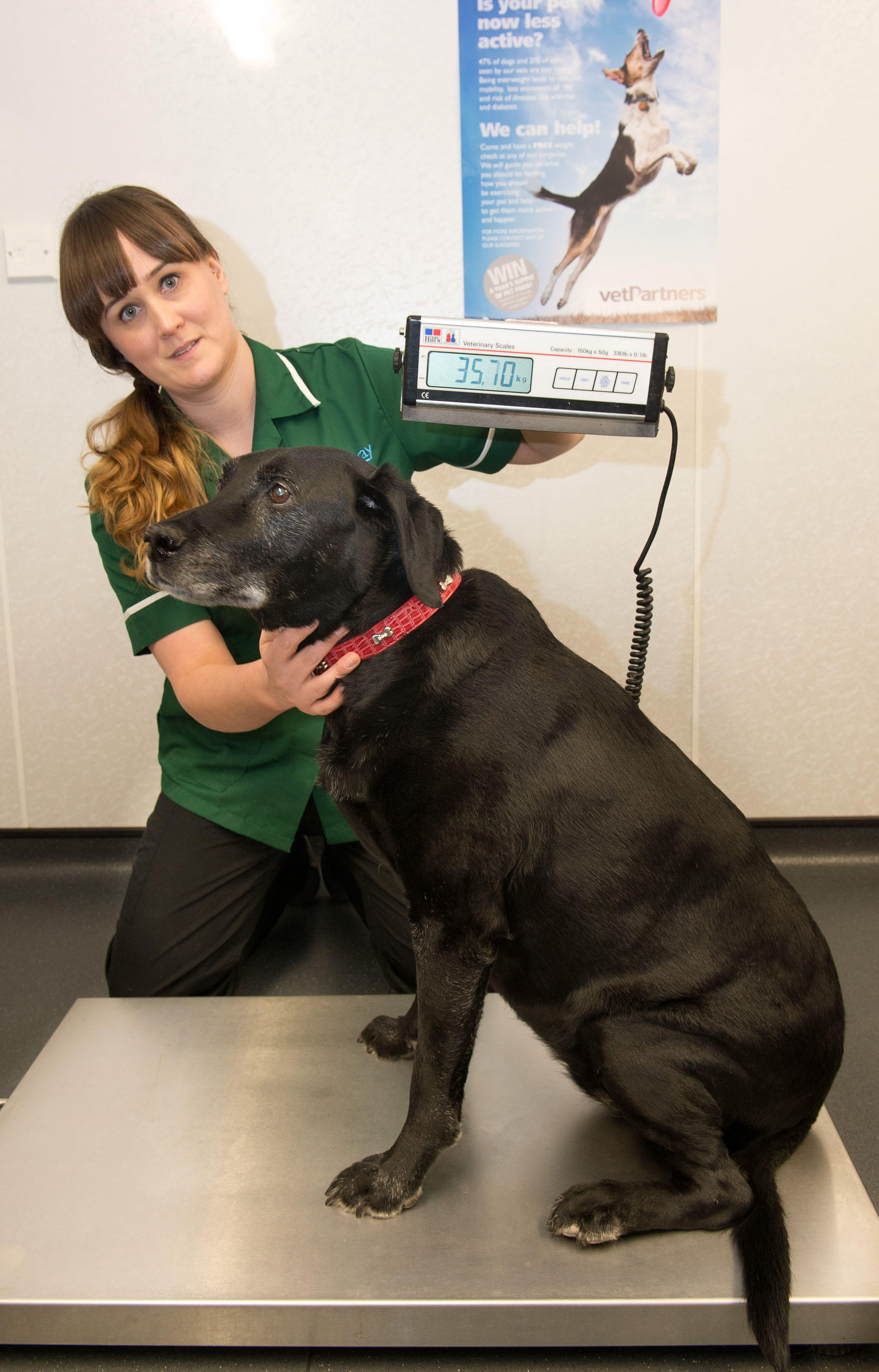 Images Westway Veterinary Group, Howdon
