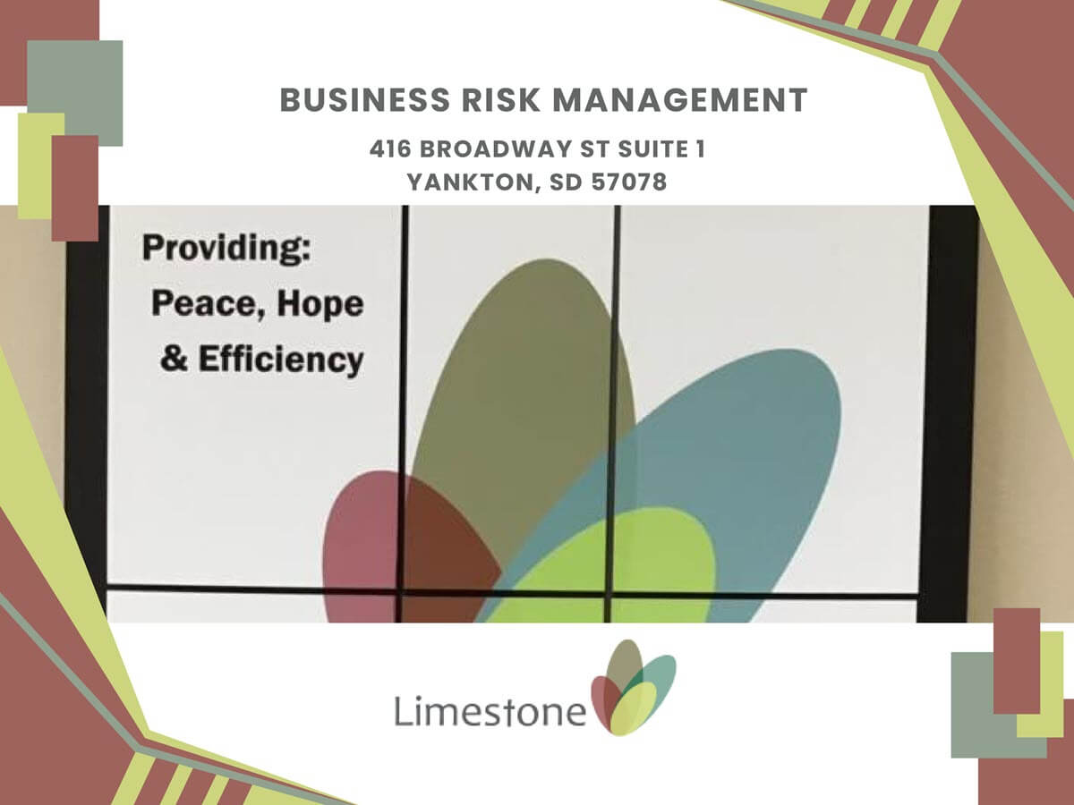 business risk management