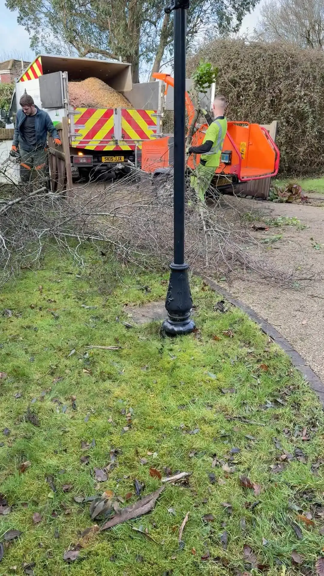 Images Arborist Tree Surgeons