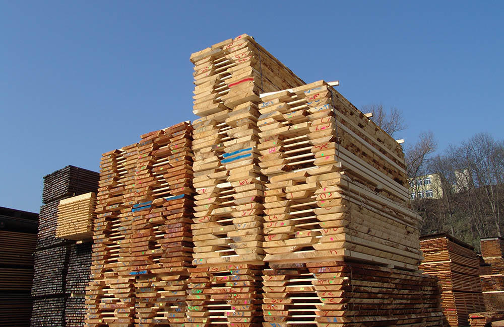 Bild 1 von Zwickl-Holz GmbH