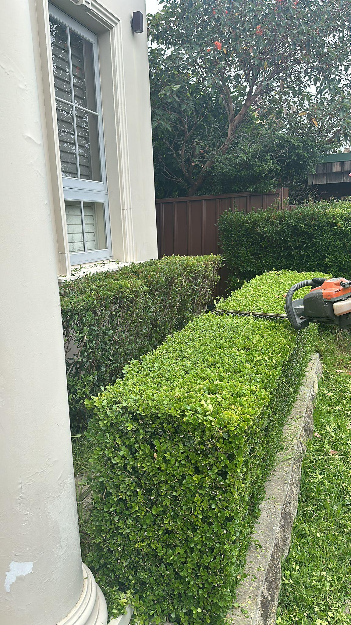 Images GN Lawn Care Services
