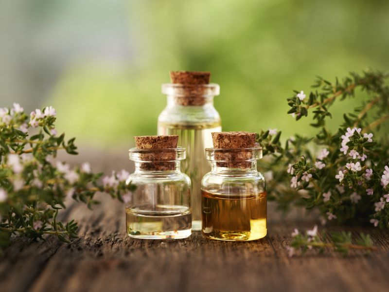 Bild 2 Königreich Dresden Physio & Spa in Dresden