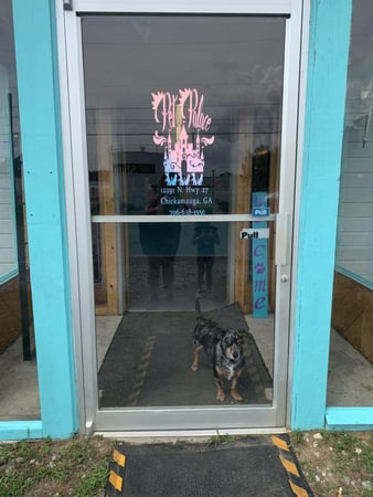Images Pet Palace