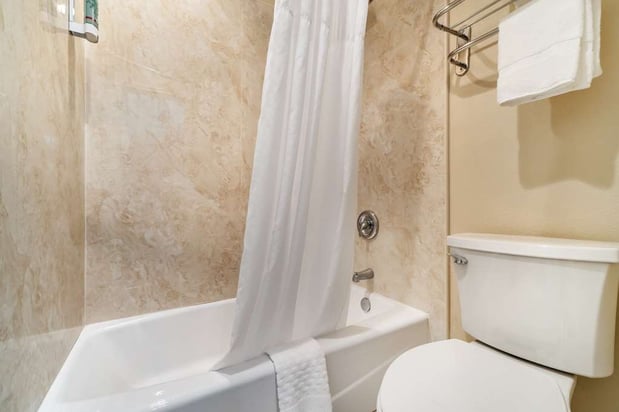 Images Best Western Padre Island