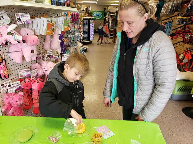 Images Paws Inn Pet Essentials