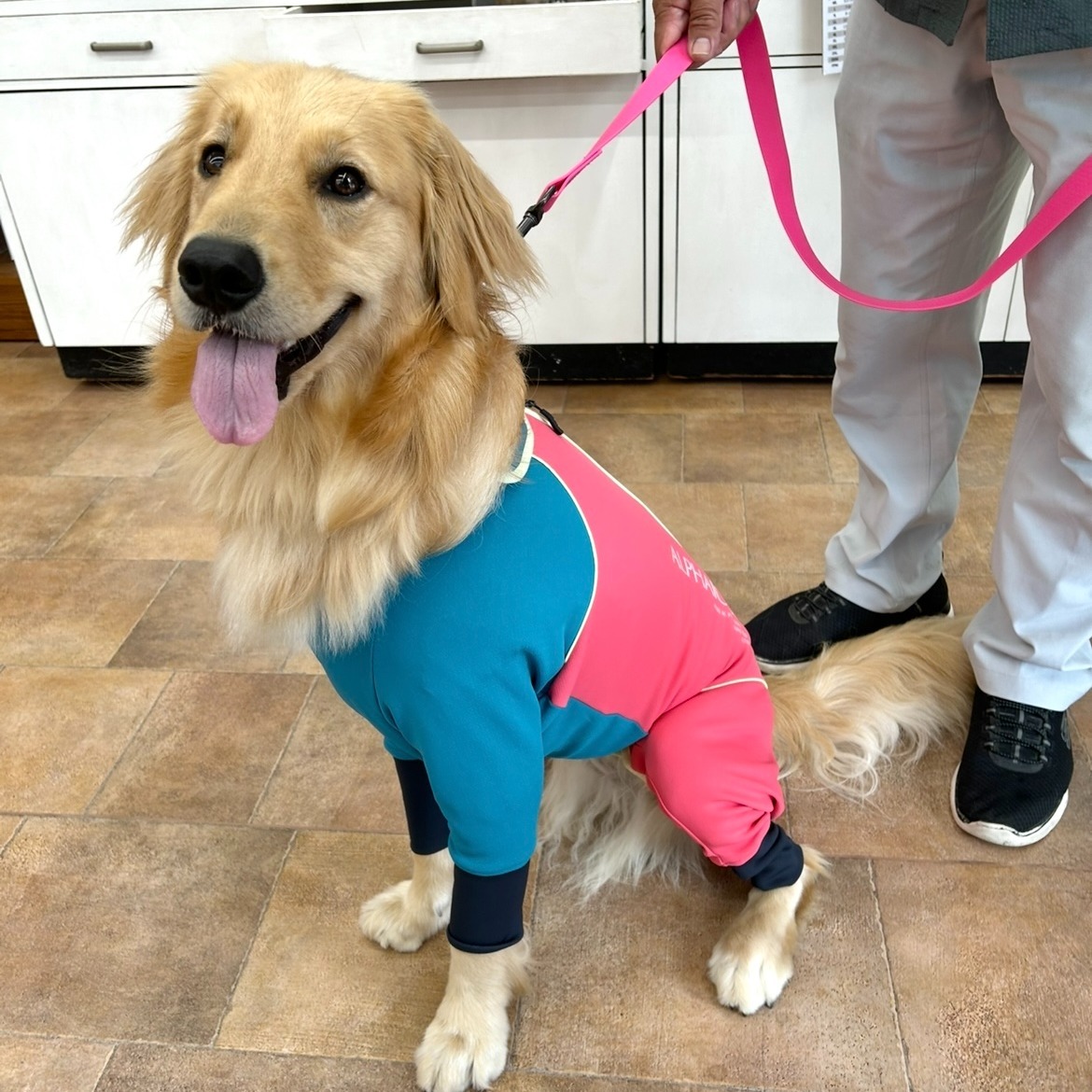 Images たまとポチ 宇津木店