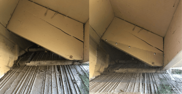 Images Delta Pest Services Inc.