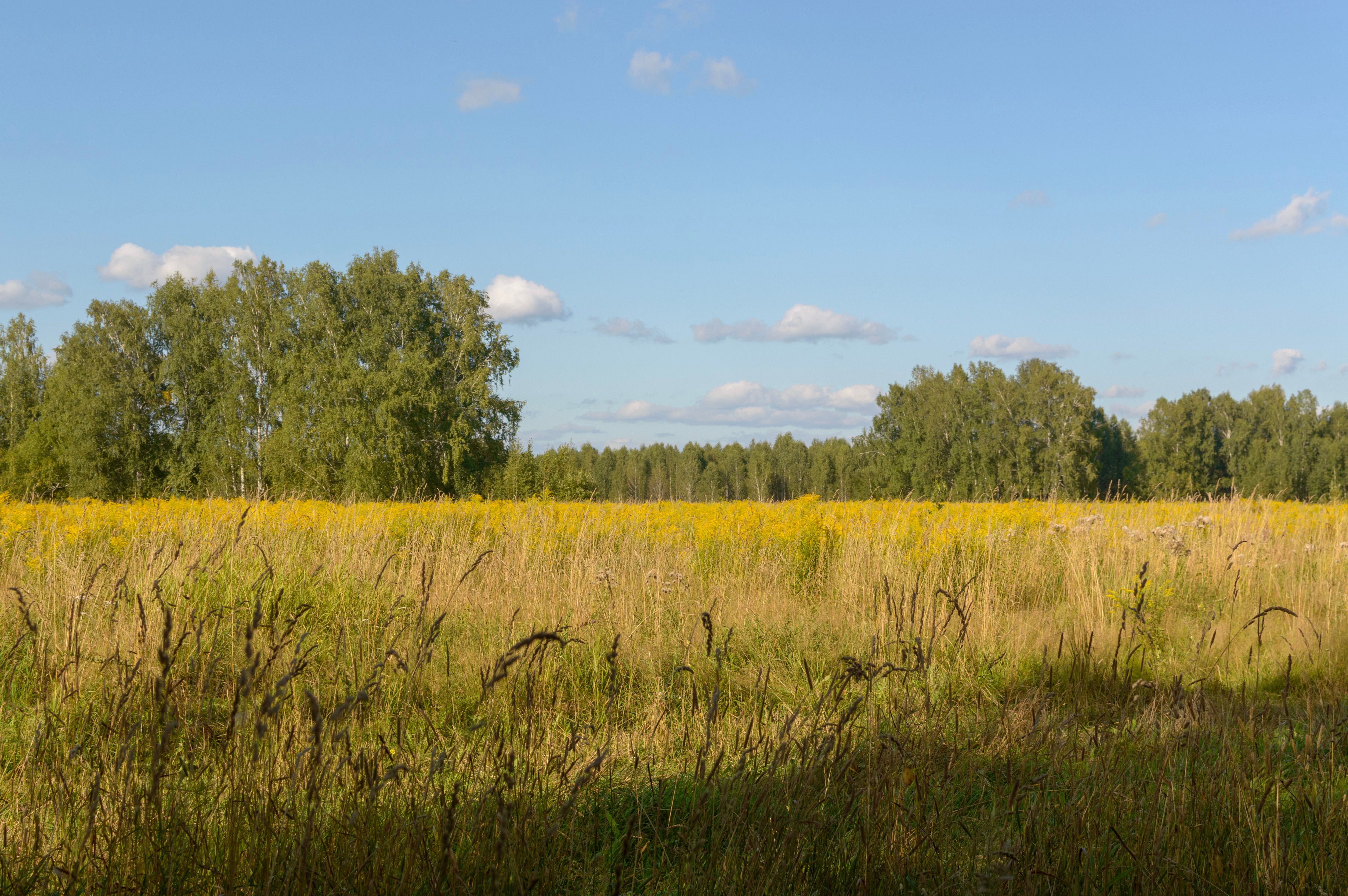 main blog image