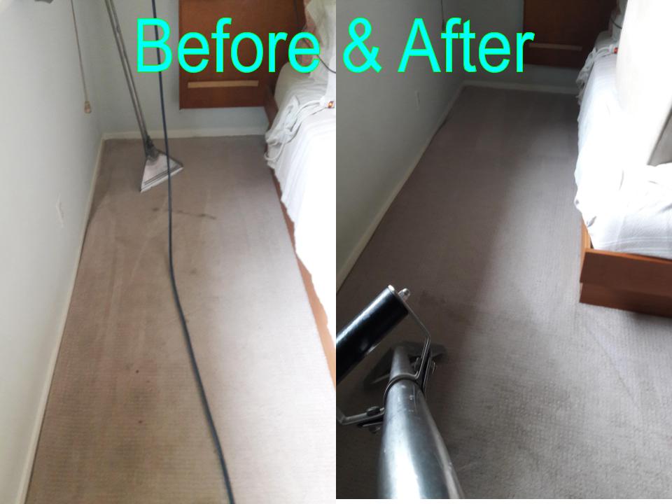 Able Body Carpet & Restoration Photo