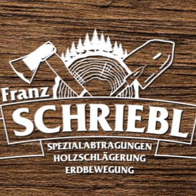 Franz Schriebl Logo