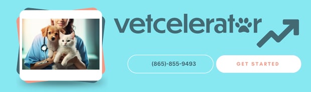 Images Vetcelerator