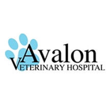 Avalon Veterinary Hospital Logo