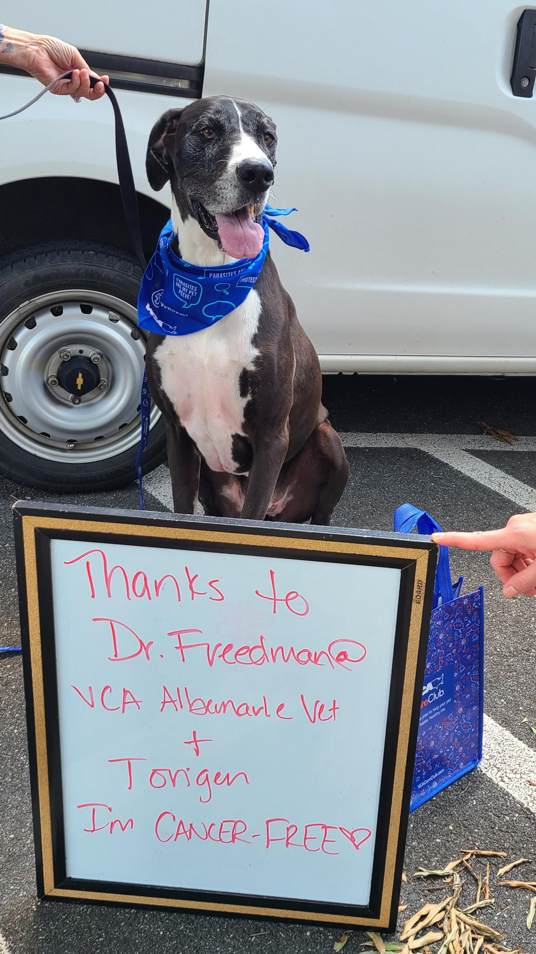 Image 24 | VCA Albemarle Veterinary Health Care Center