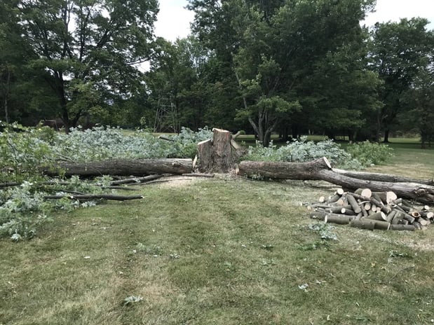 Images Cedar Creek Lawn and Landscaping