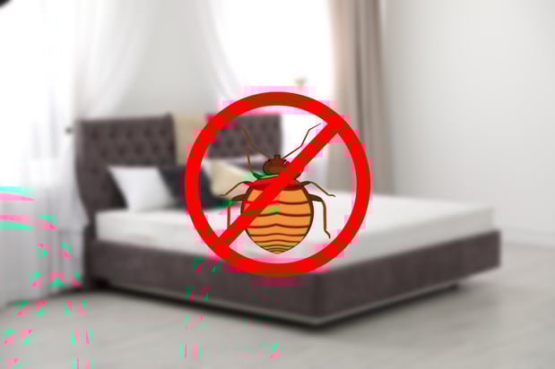 Images Victory Pest Solutions
