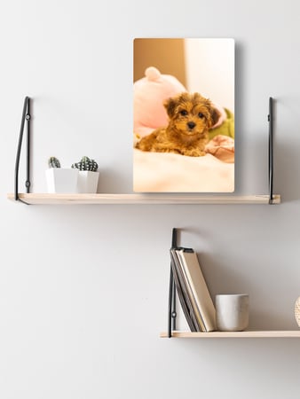 Images Pictures Plus - Ka Makana Alii