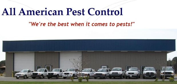 Images All American Pest Control Company