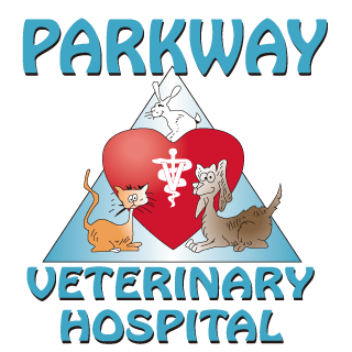 Parkway Veterinary Hospital - Marmora, NJ 08223 - (609)390-0701 | ShowMeLocal.com