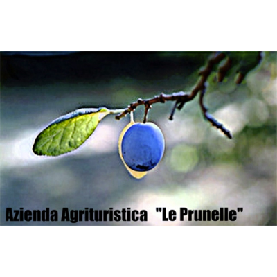 Agriturismo Le Prunelle Logo