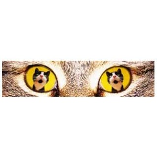 Bichler Johanna Entsorgung  