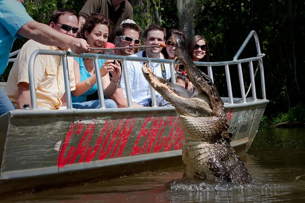 Images Cajun Encounters Tour Company