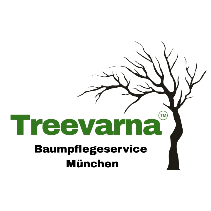Treevarna Baumpflege München  