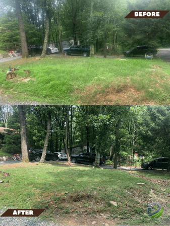 Images Marian's Grass Cutting Services
