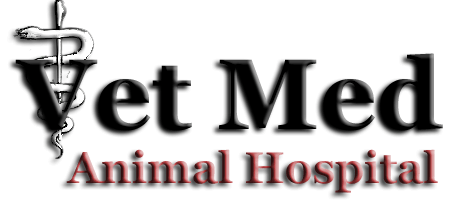 Images Vet Med Animal Hospital
