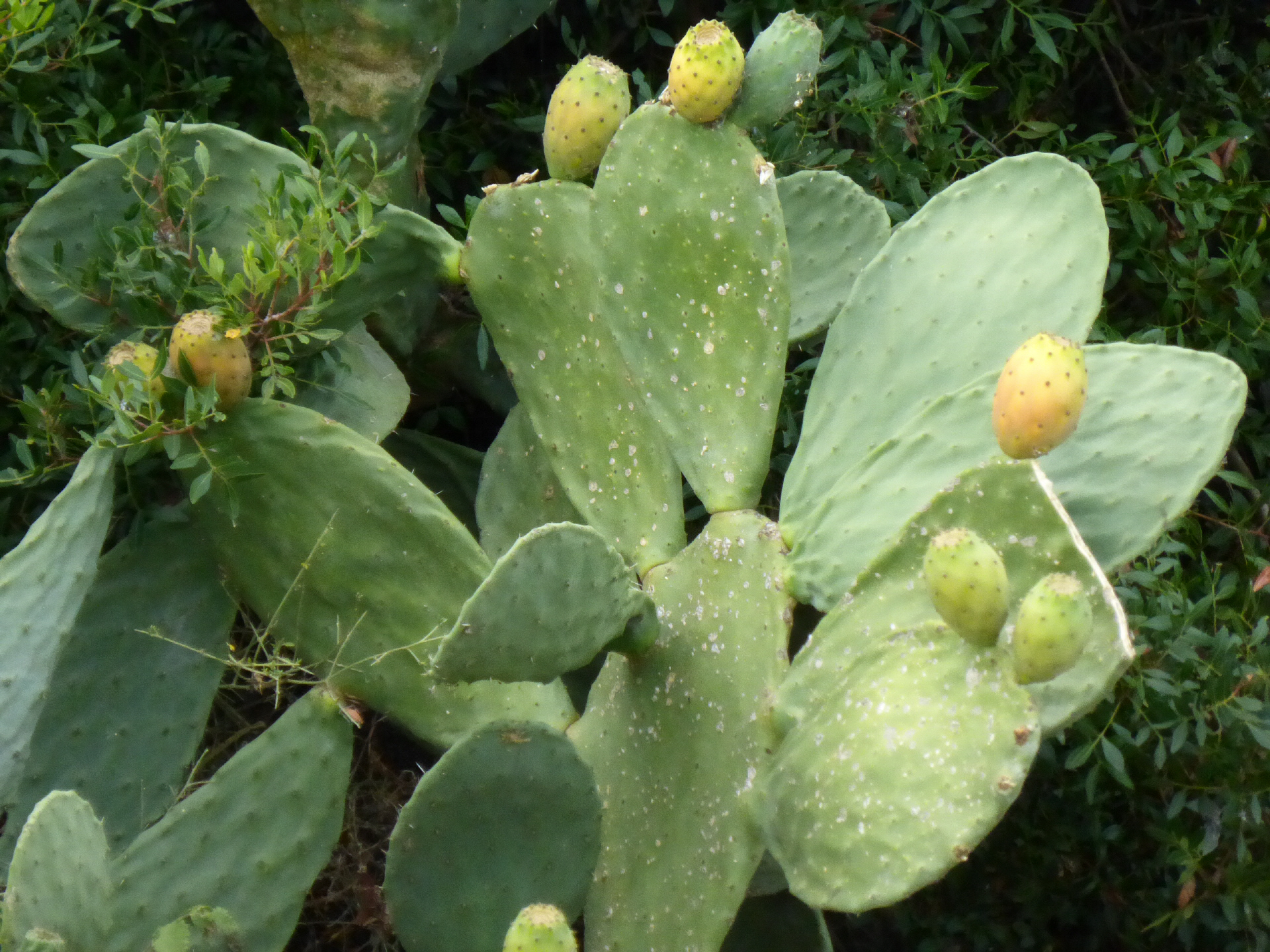 Praxis für Psychotherapie Dr. Christiane Willers, Heidingsfelderweg 47 in Eichstätt