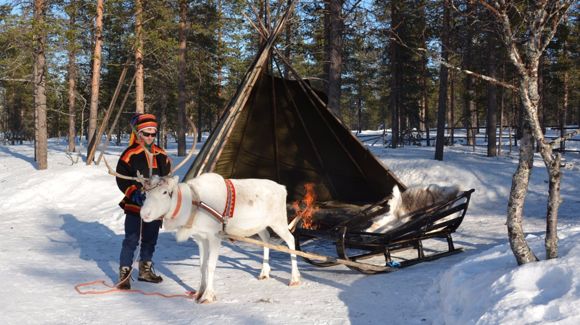 Images Saariselän Porotila / Saariselkä Reindeer Farm