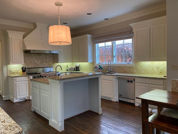 Images The Brazilian Painter