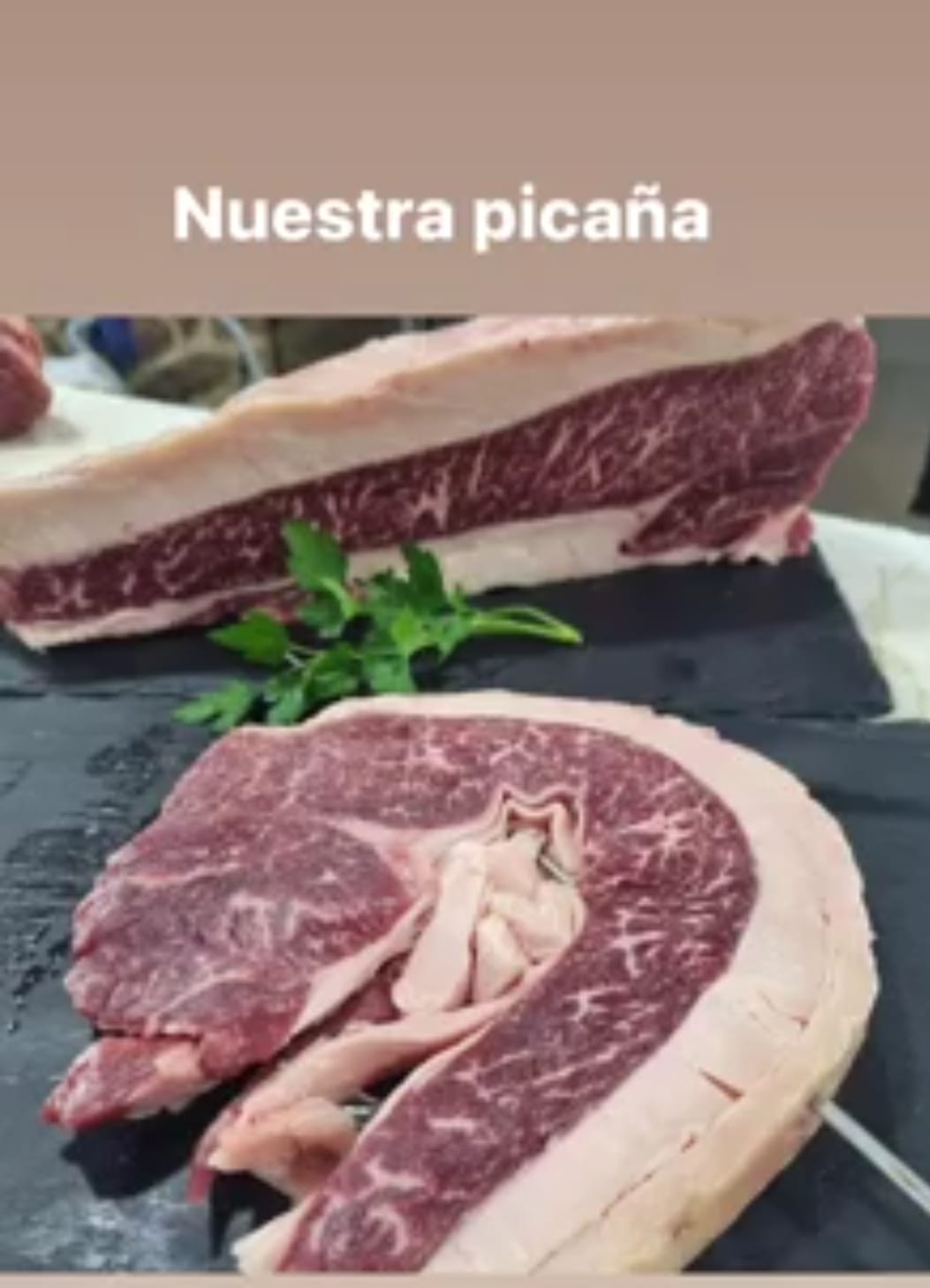 Images O Lar Do Carpinteiro