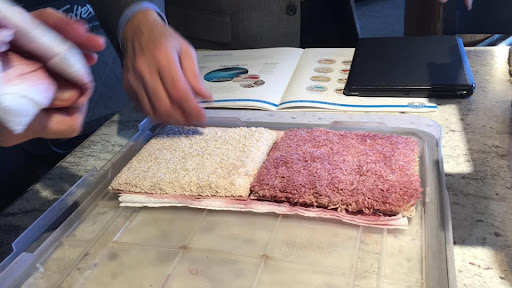 Images Accent Floors and Design