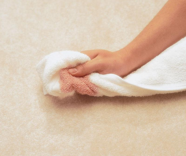 Images Ohana Chem-Dry