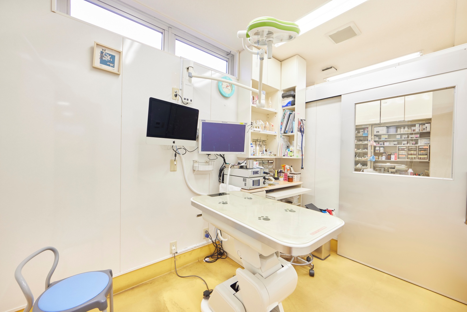 Images 江島動物病院 PAL動物病院グループ