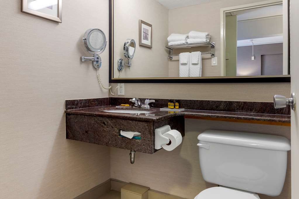 Best Western Plus Gatineau-Ottawa Downtown in Gatineau: SF Bathroom