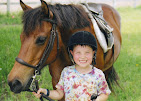 Images Star Ridge Stables