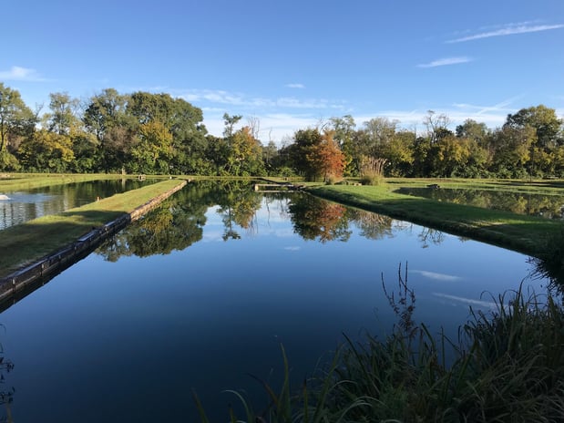 Images Jones Lake Management